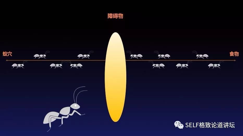 快递|双11在即，你操心你的快递吗？这个方法让你的快递更快到家