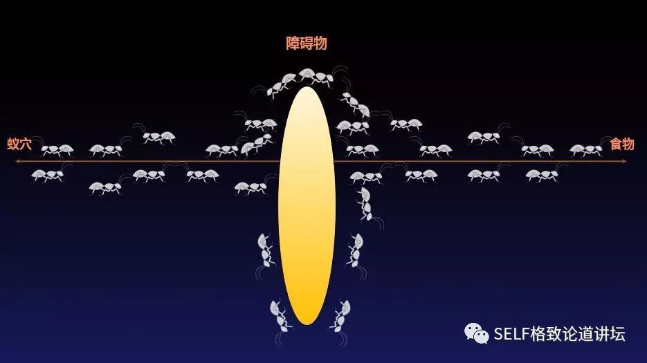 快递|双11在即，你操心你的快递吗？这个方法让你的快递更快到家