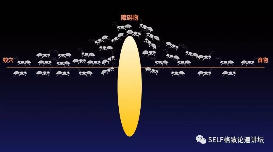 快递|双11在即，你操心你的快递吗？这个方法让你的快递更快到家