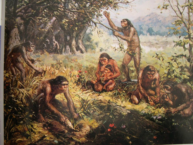 北京猿人 化石在不在日本人手里 腾讯新闻