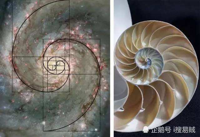 "天,地,人"三合一的内在共性本质特征_腾讯新闻