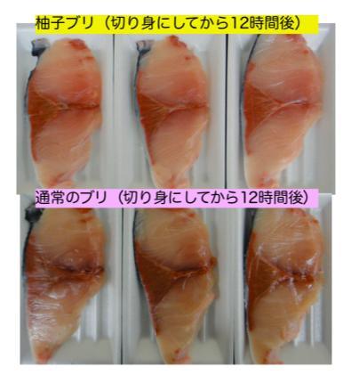 创造新味觉 水果味的鱼你吃过吗 腾讯新闻