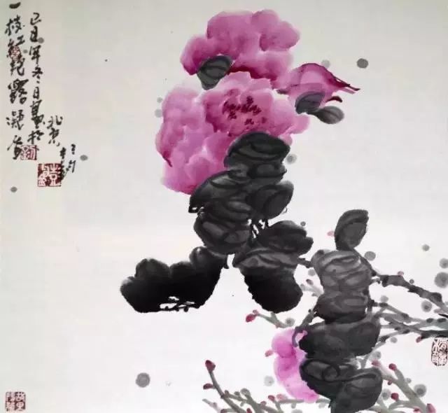 花鸟画技法秘诀 全是精华 腾讯新闻