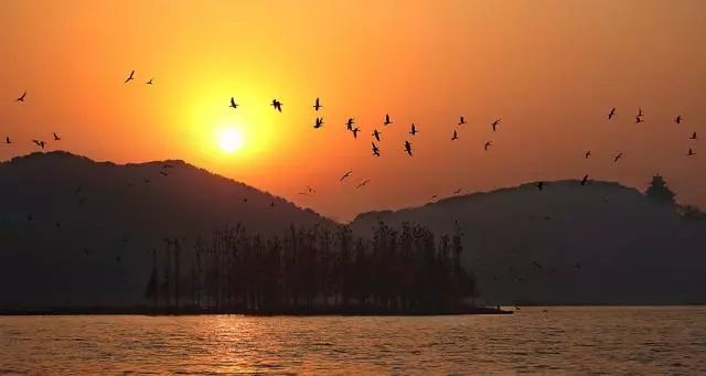 湖北人均GDP能追上天津吗_上半年上海、天津、四川、湖北、湖南、江西、贵州等省市GDP及人均...