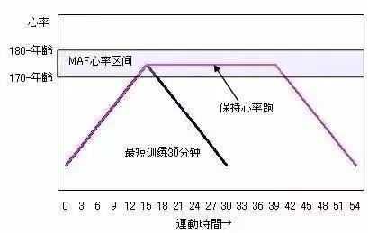 1,最大有氧心率計算方法:180-年齡2,訓練方法:在訓練時,保持在最大有