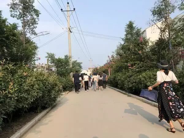 开封美食排行_开封十大美食小吃排行榜