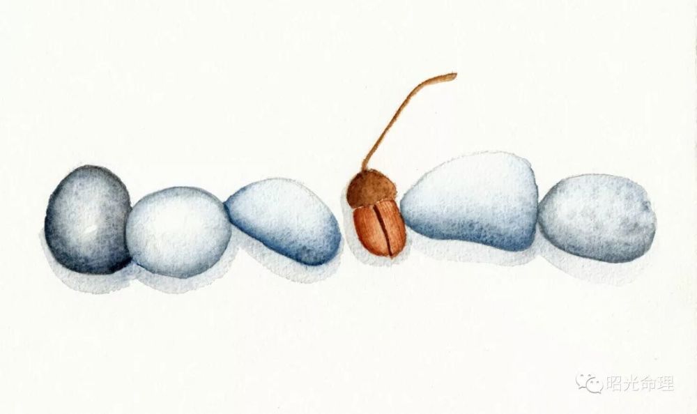 八字讲堂:什么是空亡,八字中出现空亡有