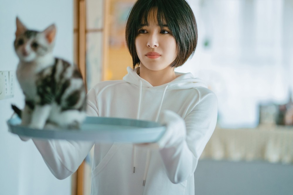 于和伟,吴磊,张子枫,钟汉良,杨子姗,陈伟霆,钟楚曦,檀健次,阚清子