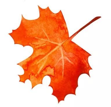 秋|听说，秋天是遗憾最多的季节