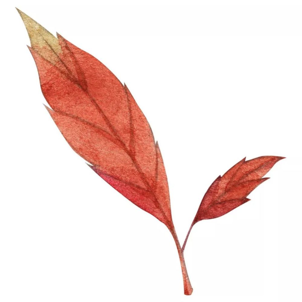 秋|听说，秋天是遗憾最多的季节