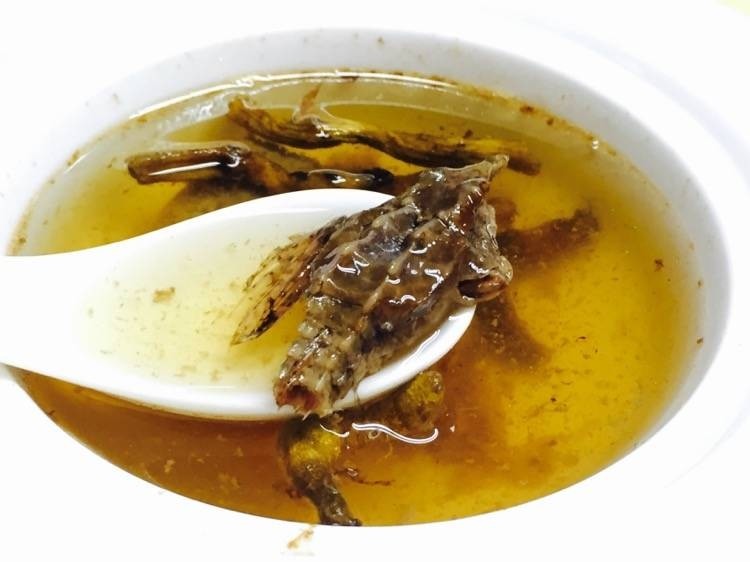 海麻雀的功效与作用及食用方法