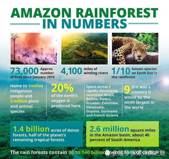 亚马逊雨林在过去20年里一直在变干,温室气体加剧,谁之过