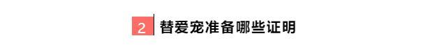 宠物移民