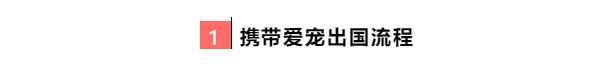 宠物移民
