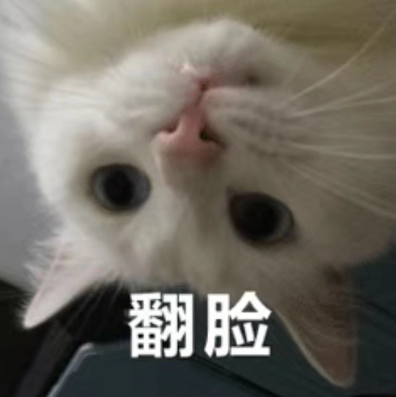 宠物移民