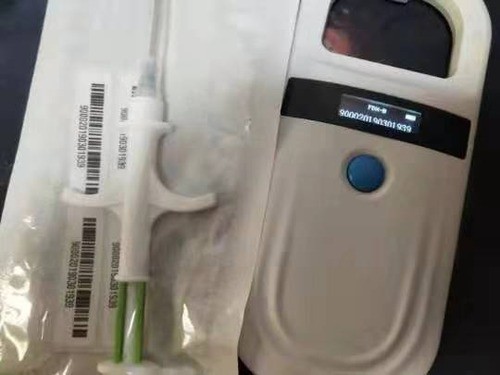 宠物移民
