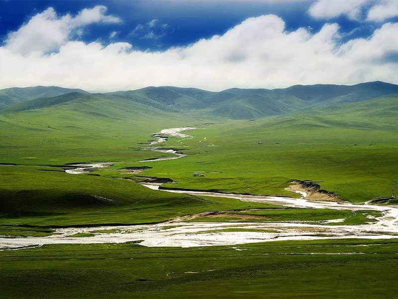 独特的沙地草原景观—阿鲁科尔沁国家级自然保护区