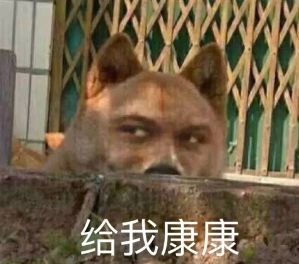 这15款包包美到失神 我居然被最便宜的种草了 腾讯新闻