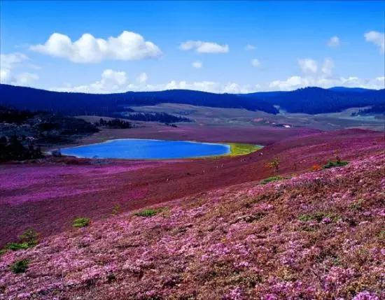 云南高山湖泊之千湖山,茶马古道上的静谧明珠,神女千湖碧波荡漾