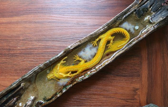 日本保存中国"真龙标本",日本专家:龙或许不是传说