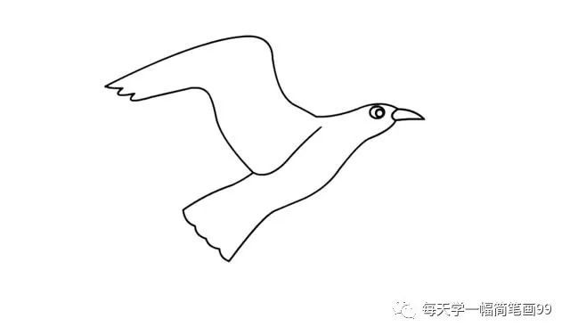 每天学一幅简笔画-海鸥简笔画步骤画法