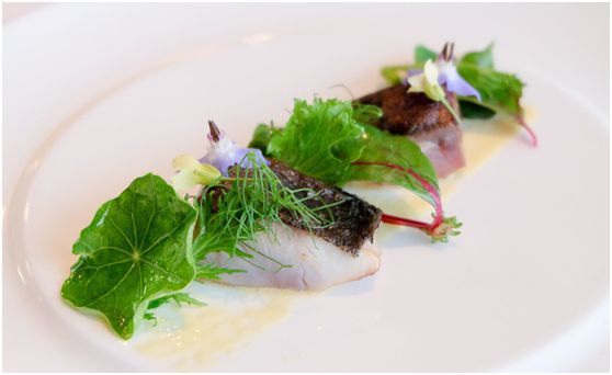 青森县最地道的意式料理 当属山崎 腾讯新闻