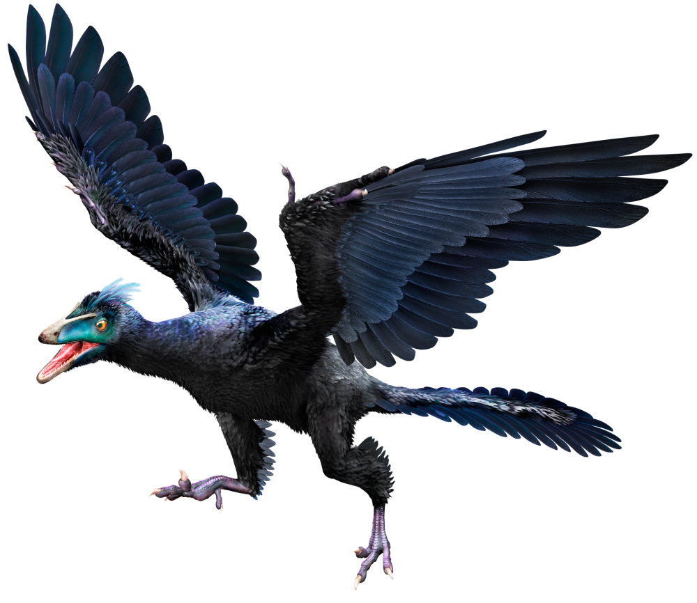 十大已灭绝的史前动物 个个长相稀奇古怪 看完令人大吃一惊 腾讯新闻