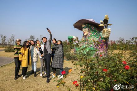 洋河新區玫瑰小鎮花香四溢