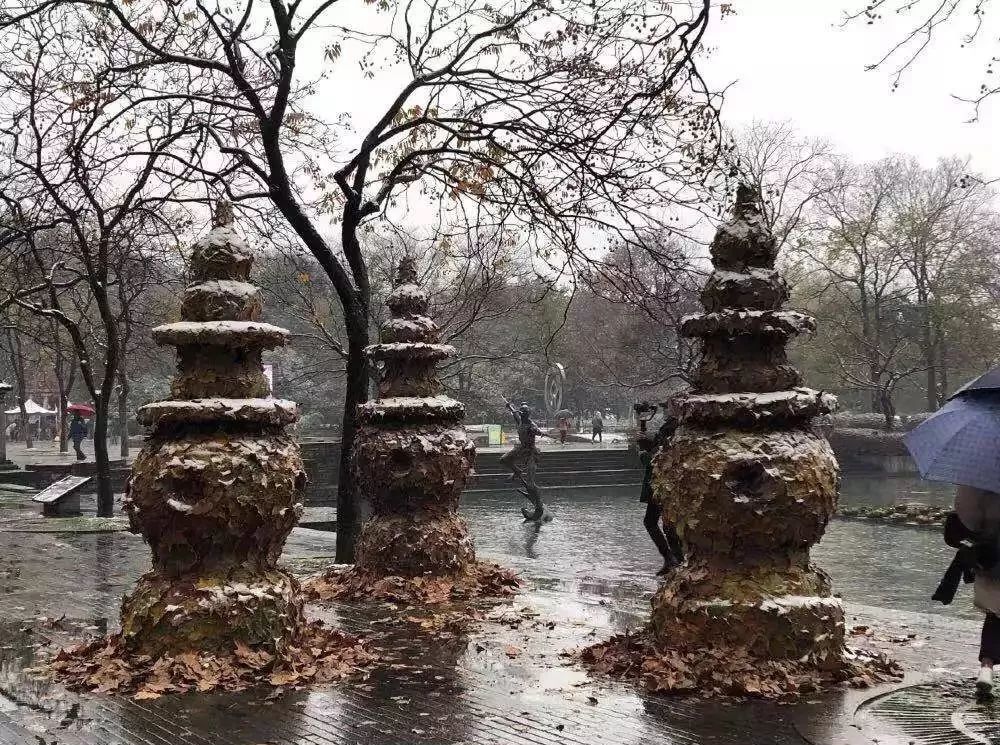 引爆杭城的秋叶艺术节再度重磅来袭 腾讯新闻