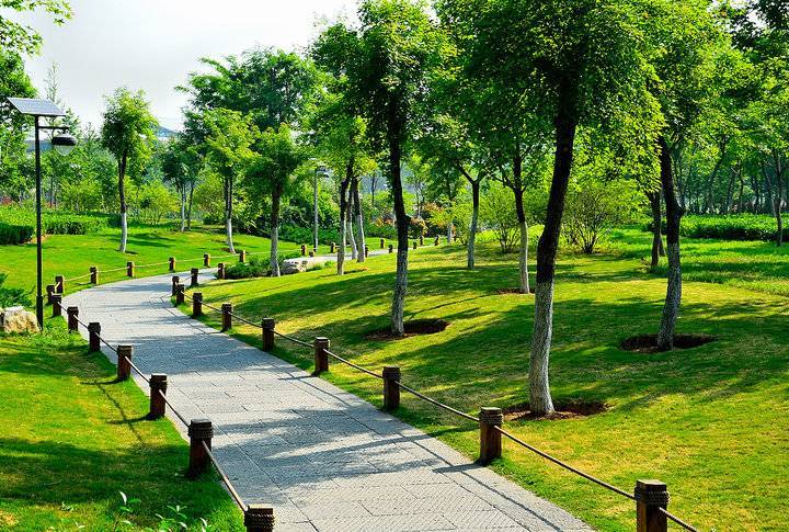 走进济南森林公园聆听半座城的呼吸