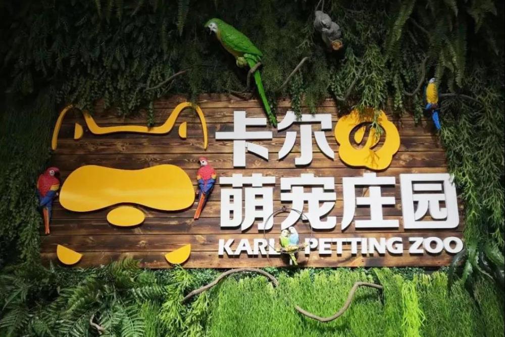 跻身新一代网红萌宠乐园靠什么萌住世人