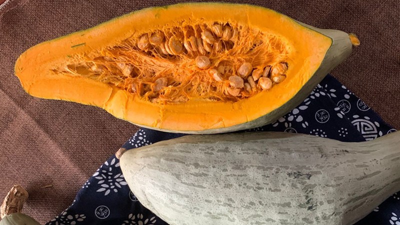 南瓜皮不要扔了,厉害用途多,比南瓜还值钱,记得告诉身边人!