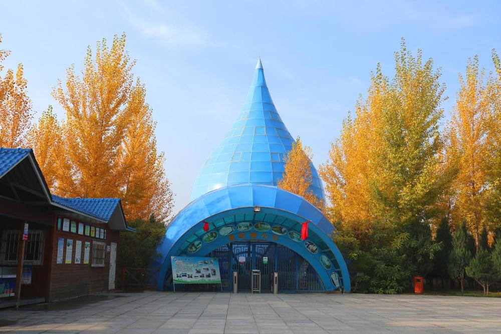 黄河畔的黄河宫,俏皮大"水滴",行走在中卫最美中轴线上