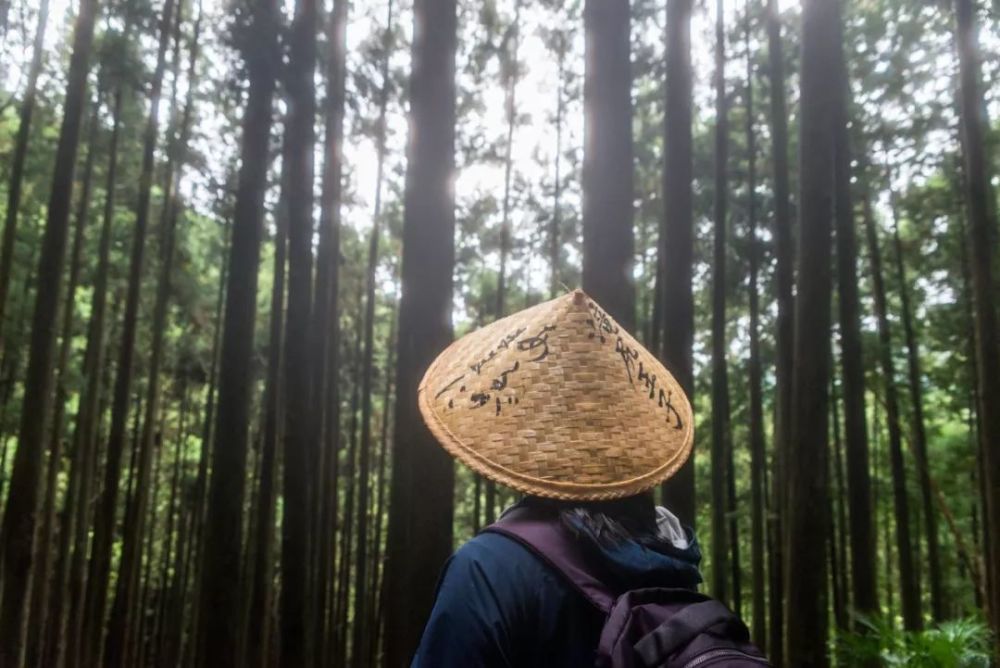 在日本第一灵验所 许下心愿 腾讯新闻