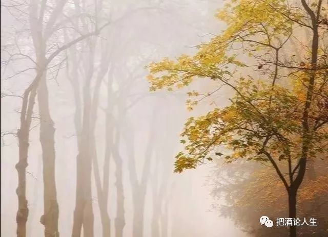 秋天总是让人感怀 腾讯新闻