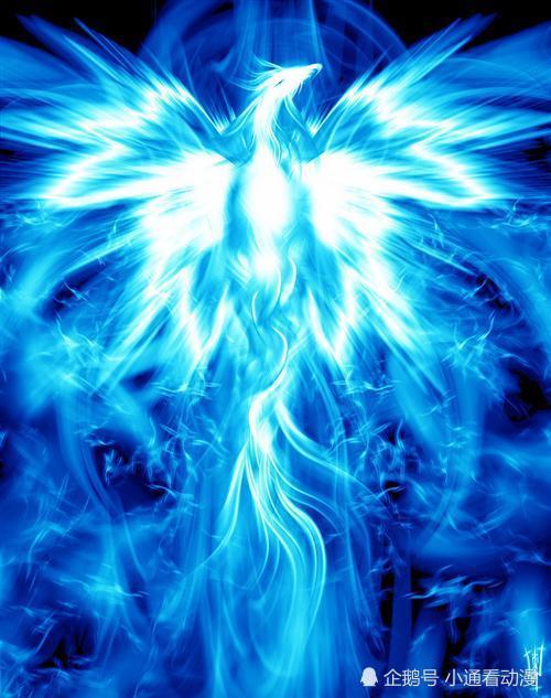 冰凤凰冰凤凰是斗罗大陆中天斗战队对象水冰儿的武魂,可以制造冰雪