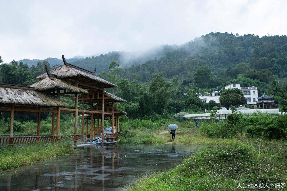 遇见海南五指山毛纳村 热带雨林孕育的养生天堂 腾讯新闻