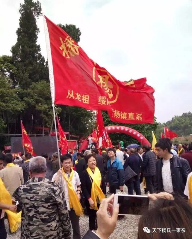 三千杨氏祭祖寻根,彩旗飘,锣鼓响,场面堪比大过年!