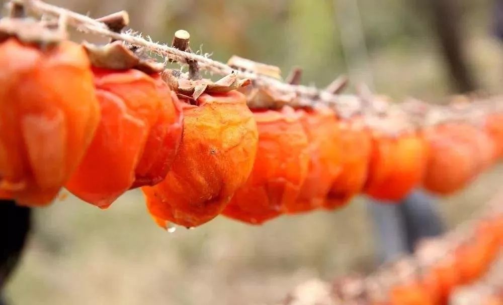 岩竹:柿乡故事多