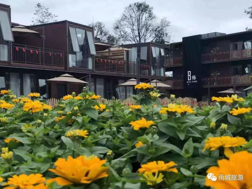 雨城區世外鄉村海子山榮獲四川2019中國四川森林康養基地稱號