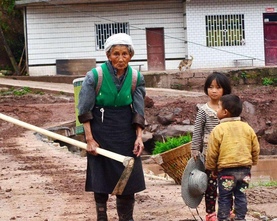 農民領退休金有希望了詳解為什麼這錢應該發且有能力發