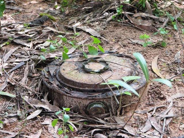 乌克兰深受疫情所困,经济所限,慌乱中埋300万地雷阻碍春季耕种