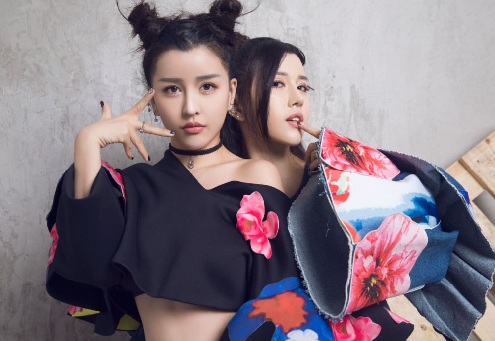 同是双胞胎,命运却不同?