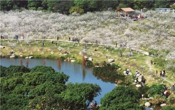 盤點廣州黃埔綠道公園山峰各大最你去過幾處