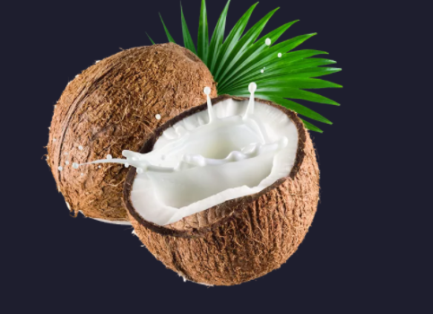 灵签占卜:凭你的直觉选一个椰子,测你最近会有啥喜事找上门?