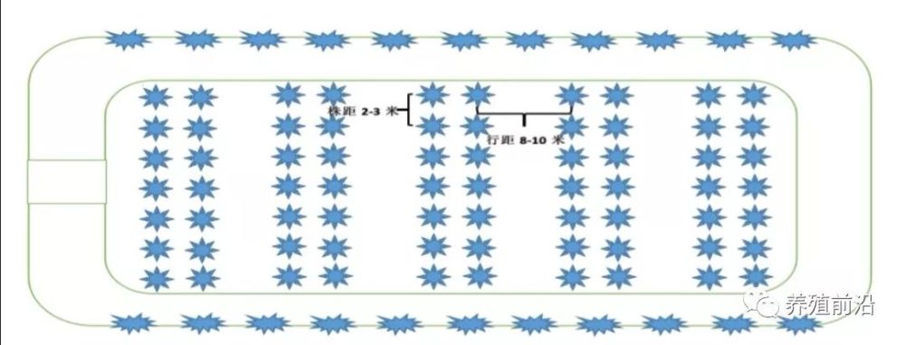 详解小龙虾每个月应该做什么 怎么做 腾讯新闻