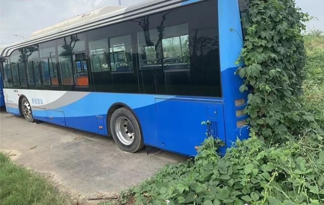 电动车寒冬有多冷 广汽比亚迪停产多月 10月产销量均为0 腾讯新闻