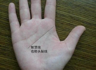 智慧线中间分叉有什么影响?