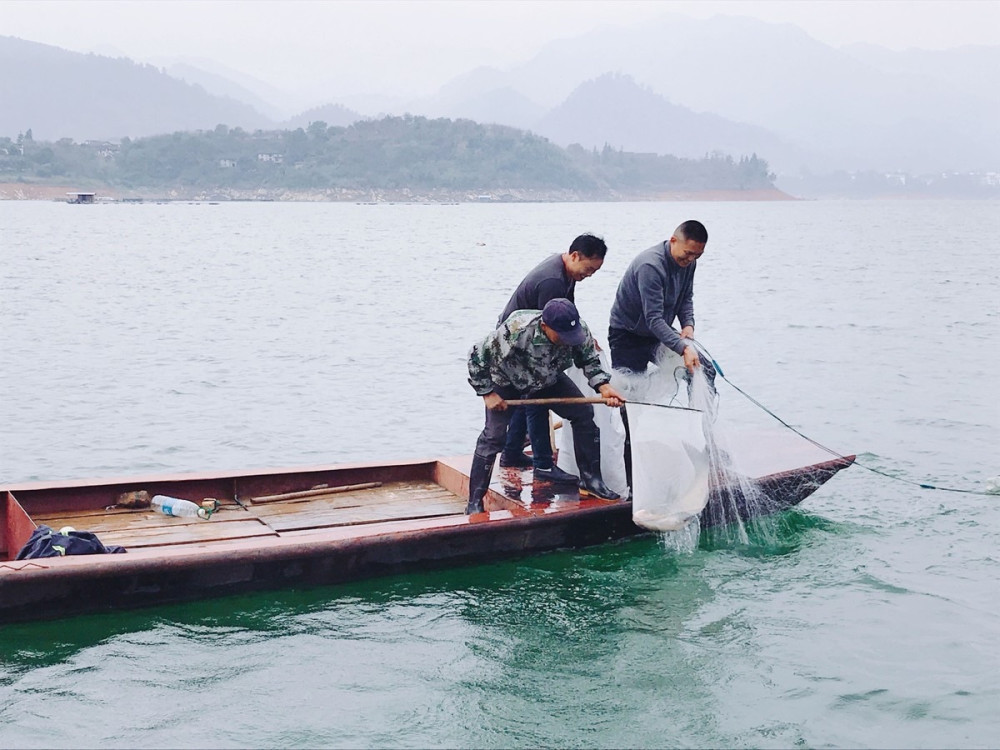 資興黃草鎮風情:秋色浪漫 元氣滿滿