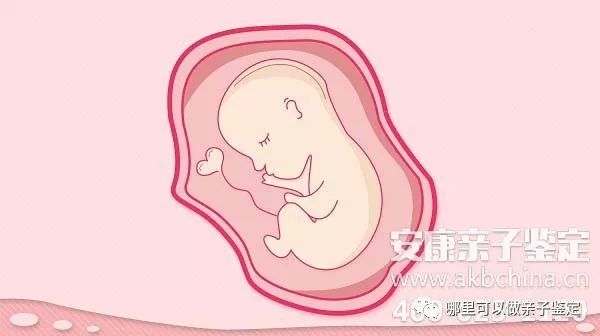 怀孕初期如何亲子鉴定 哪家亲子鉴定的隐私保护的好 腾讯新闻